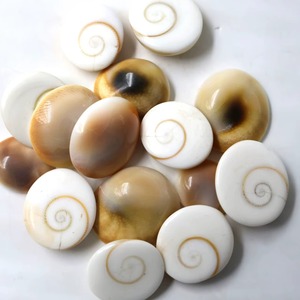 Piedra Natural Ojo de Shiva, Gomti Chakra, Ojo de Shiva al por Mayor, Concha Marina para Joyería Hecha a Mano - Product Image 2