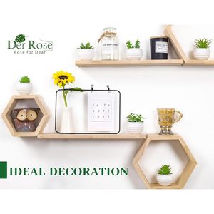 Set di 6 Piccole Piante Succulente Artificiali con Vasi per Decorazione Camera da Letto, Soggiorno, Bagno o Ufficio - Product Image 4