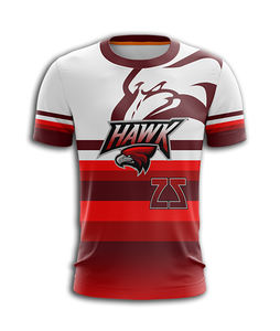 Maillot de baseball personnalisé 2026 – Votre propre logo et designs, respirant, grandes tailles, couleur personnalisée, impression par sublimation numérique, anti-UV - Product Image 3