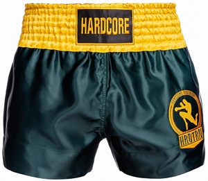 <b>Men</b> Muay Thai <b>Shorts</b> Satin Print Elastic Waist Training Gym Kickboxing Lightweight Top top <b>mens</b> muay thai martial - Product Image 6