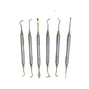Kit de Instrumentos Dentales para Rellenos de Composite con Mango Dorado, Juego de 6 Instrumentos Profesionales de Restauración Dental - Product Image 3