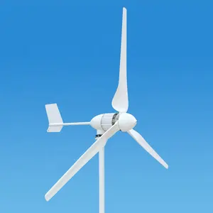 1000W 1500W 2000W 48V Windturbine Dak Turbine Wind En Zonne-Energie Hybride Systemen Horizontale Windturbine