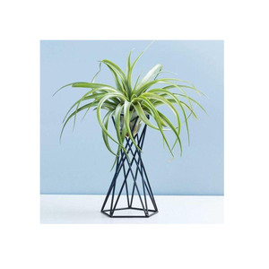 Extravagant Metal Planter Garden Decor Planter Flower <b>Vases</b> Pots <b>Unique</b> Stripped Design Brass Antique Finished Stainless Planter - Product Image 2