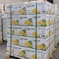 Maïs sucré en conserve de qualité supérieure, proposé en boîtes en vrac pour les importateurs alimentaires exigeant une approvisionnement stable et un emballage haut de gamme