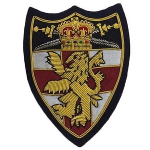 Top Premium Quality High Manufacture Fashion Bullion Wire Badges New Design Fashion Bullion Wire Badges Fashion CustomizedPatch - Product Image 6