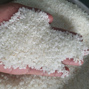 ข้าวซูชิคาลโรสเนื้อนุ่ม ขายส่ง เมล็ดสั้น ไม่ใช่พืช GMO สีขาว จากเวียดนาม คุณภาพดี ราคาดี ปีเก็บเกี่ยว 2026 แบรนด์ IIGLOBAL - Product Image 1