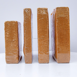 Cocopeat orgánico comprimido para jardinería, embalaje personalizado, turba de Coco Natural para macetas y macetas de jardín, suministros de jardín de cocopeat - Product Image 4