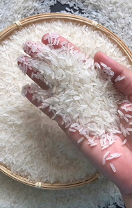ข้าวหอมมะลิเวียดนามสำหรับผู้จัดจำหน่ายและผู้นำเข้า บรรจุภัณฑ์ตามสั่ง OEM พร้อมให้บริการ - ราคาแข่งขัน อายุการเก็บรักษา 2 ปี - Product Image 5