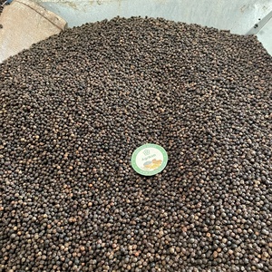 Premium Quality Dried Black Pepper With Full <b>Certifications</b> Bulk Packaging For Global Market - Product Image 2