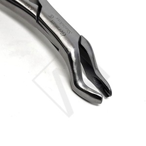 Forceps d'extraction dentaire plaqué or de qualité supérieure pour molaires supérieures droites, pinces d'extraction en acier inoxydable, instruments chirurgicaux buccaux - Product Image 6
