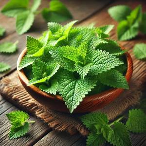 Poudre de Tulsi, extrait naturel d'herbes, 99% pur, emballé sous vide dans un récipient en plastique, qualité alimentaire, approvisionnement en vrac pour compléments nutraceutiques - Product Image 1