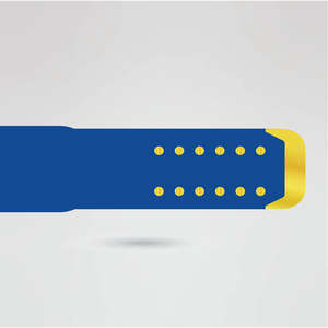 Golden Metal <b>Wrestling</b> Championship <b>Belt</b> with Blue Accents and Custom Text Design Golden metal <b>wrestling</b> <b>belt</b> Blue accent - Product Image 5
