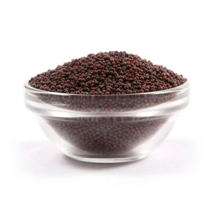 Graines de moutarde de qualité supérieure, vente en gros, approvisionnement en vrac, qualité alimentaire, prêtes à être expédiées, fournisseur d'exportation de qualité supérieure - Product Image 6