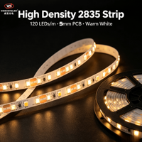 Bande LED flexible haute luminosité DC24V 120LEDs/m SMD2835, température de couleur 3000K-6000K, éclairage paysager à corps en cuivre.