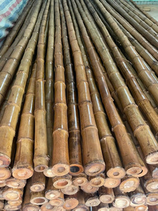 Tubos de Bambú Natural Premium, Materia Prima para Cercas Agrícolas, Construcción, Fabricación de Linternas y Abanicos - Macy - Product Image 1