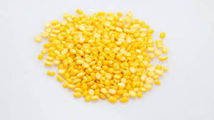 ถั่วเขียวอินเดียแท้ 100% คุณภาพพรีเมียม ยี่ห้อ Fresh Harvest FitTree International บรรจุ 25 กก. สำหรับขายส่ง อายุการเก็บรักษา 24 เดือน - Product Image 4