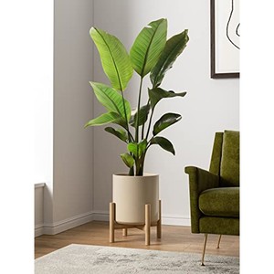 Maceta Cilíndrica de Madera de Pino y Fresno Hecha a Mano, Venta al Por Mayor |   Maceta Minimalista de Color Rubio Pálido Natural - Product Image 3
