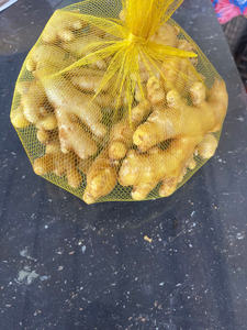 Jengibre Fresco Premium de Vietnam, Limpio y Lavado, Especia Picante, Calidad de Exportación, Proveedor - Product Image 4