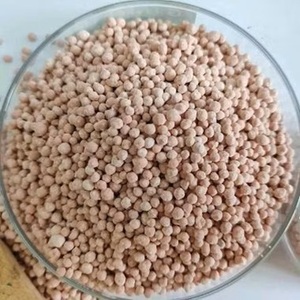 Fertilizante Orgánico NPK/DPK con Aminoácidos Ácidos en Forma de Perlas/Gránulos - Product Image 1