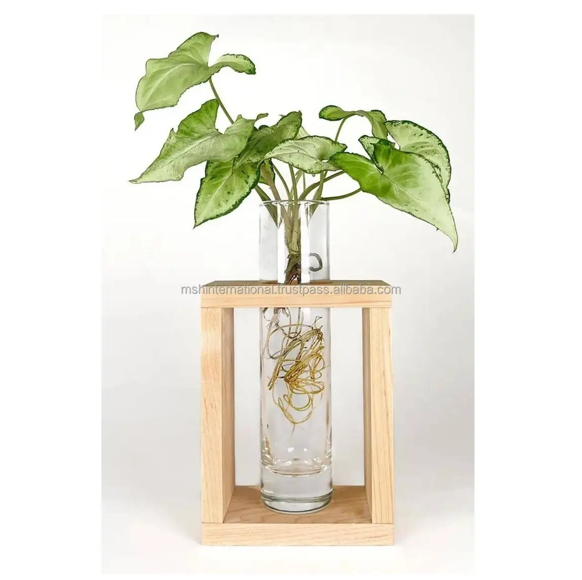 Terrarium Flower Vase with Wooden Holder for Propagation Hydroponic Water Plants Home Office Desktop 3 Test Tubes Glass Planter