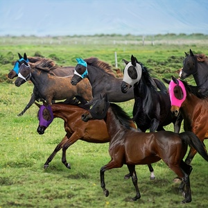 Máscara Antimoscas de Cuero Genuino para Caballos, Protección de Verano, Malla Transpirable, Bloqueo UV, Diseño Suave de Protección para Orejas/Nariz, para Montar a Caballo - Product Image 4