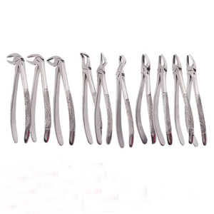 Juego Completo de Fórceps para Extracción Dental, Instrumentos Quirúrgicos de Acero Inoxidable de Primera Calidad para Dentistas Profesionales y Cirujanos Orales - Product Image 5