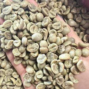 Vente en gros de grains de café vert biologique Arabica Robusta de haute qualité du Vietnam, grains de café Arabica torréfiés 100 % purs - Product Image 3