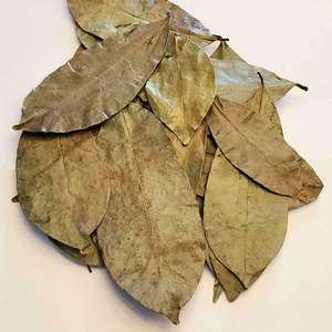 Dried Sousop Leaves Whole Natural Organic Non Sugar <b>Tea</b> Bags 24 Months Shelf Life - Product Image 3