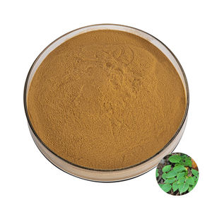 OEM Finely Processed Herbal Horny Goat Weed Powder Natural & Pure Food Grade Epimedium Powder for Immunity & Hormonal Support - Product Image 5