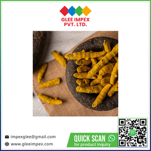 Cúrcuma Orgánica Natural Pura de Fabricante Indio, Cúrcuma Entera Seca, Especias para Sazonar - Product Image 6