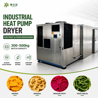 Industriële warmtepomp fruitdroogmachine van 500 kg, SUS304, voor mango, banaan, ananas, automatische dehydrator voor voedselverwerkingsfabrieken