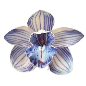 El yapımı eva köpük çiçek yapay çiçek cymbidium yüksek kaliteli dekorasyon ve saç aksesuarları.