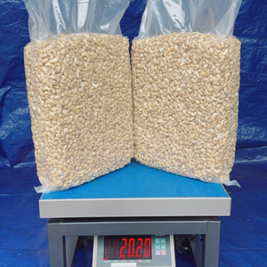 Trusted Factory Vacuum Packed Cashew <b>Nuts</b> SANTIGO Cashew Kaju <b>Nuts</b> Exported Worldwide - Product Image 1