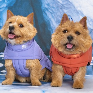 เสื้อโค้ทกันน้ำสำหรับสุนัข MUNIKUND รุ่น Thermal Up Padding Air 2 Vegan Down Dog Puffer Coat สำหรับร้านค้าปลีก - Product Image 3