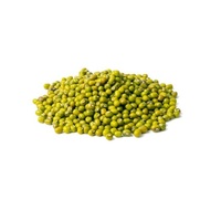 Haricot Mungo Vigna Radiata Biologique de Qualité Export, Nettoyé à la Machine, Qualité Sortex, Vente en Gros pour le Commerce International