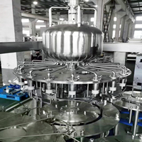 Ligne de production automatique d'eau potable et de boissons Golden Machinery, emballage en bouteilles en plastique et en sacs en verre, économie d'énergie