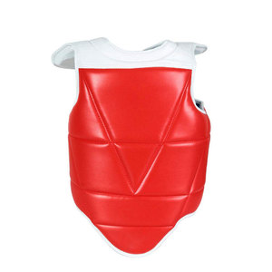 Protection Thoracique Légère à Prix Abordable pour Adultes (Hommes et Femmes) – Protection Complète du Torse - Product Image 1