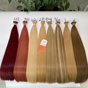 Soyeux Droit 100% Vierge Vietnamien Extensions de Cheveux Humains Kératine I-Tip Cuticule Aligné Raw Remy Trame Unique Pas Cher - Product Image 1