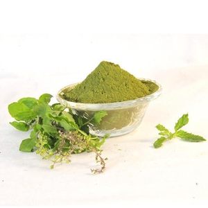 Poudre d'herbes Ocimum Sanctum Tulsi pour le bien-être ayurvédique traditionnel, soins naturels à base de plantes et soutien quotidien à la santé - Product Image 3