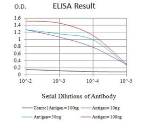 BT-MCA4828 KRT19 anticorpo monoclonale - Product Image 2