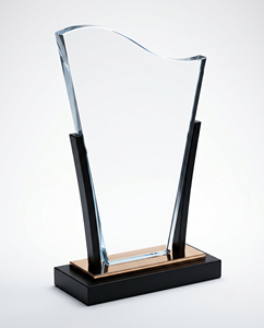Exceptional Customizable Elegant Acrylic Bronze Awards Lasting Tribute Outstanding Achievements <b>Trophies</b> Medals <b>Plaques</b> - Product Image 2