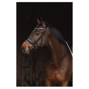 Bridon et harnais en cuir de qualité supérieure, conçus dans le style classique de la sellerie anglaise, pour les professionnels et les compétitions. - Product Image 2