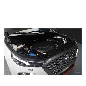 Para Hyundai Palisade Diésel 2.2 4WD Modelo Abril 2021 con 98,423 km, Caja de Cambios Automática, Asientos de Cuero, Volante a la Izquierda, Cámara Trasera - Product Image 6