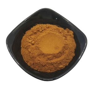 Poudre de noyau de datte de qualité alimentaire pour l'exportation, 100 % naturelle, pour mélanges de boissons, OEM, marque privée, approvisionnement en vrac - Product Image 1