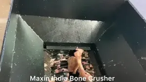Machine à déchiqueter la viande et les os à double arbre, semi-automatique, électrique, capacité de 100 à 200 kg/h, équipement de traitement, vente chaude - Product Image 2