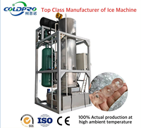 Machine à glace en tube 1T 2T 3T 5T 10T 15T 20T 30T à dissolution lente, idéale pour les cafés et la préparation de cocktails