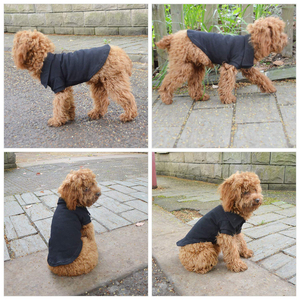 Camiseta para Perro con Estampado Personalizado, Ropa de Moda para Mascotas, Proveedor Mayorista, Chaleco Suave para Gato, Ropa Básica Cómoda para Cachorros al por Mayor - Product Image 6