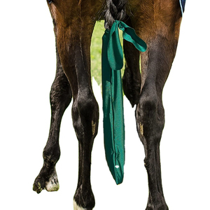 Protège-venteaux pour chevaux 2026 personnalisés en tissu imperméable pour la protection de l'équipement équestre - Product Image 6