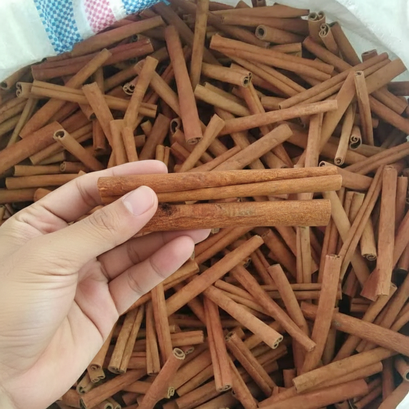 Indonesia Korintje Cassia A Grade 8cm