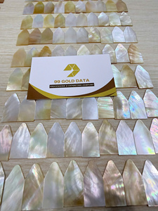 Vietnam Supplier Silver <b>MOP</b> Shell Inlay Piece for <b>Wall</b> Decoration Furniture Craft Luxury Interior Decorative Material - Product Image 2